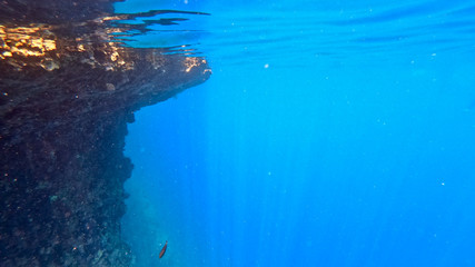 under sea the sun rays, fishes and floating people