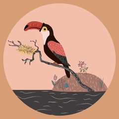 Toucan sitting on a branch with nest over the water. © Kristina