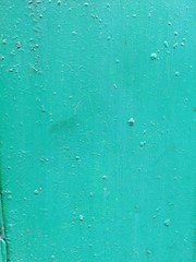Green grunge wall. Contemporary closeup for lifestyle design. Wallpaper pattern. Old dirty wall texture. Design template.