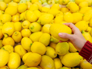 The girl holds a lemon in a hand. Against the background of yellow citrus fruits