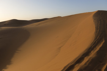 Fototapeta na wymiar Dune de sable dans le Sahara marocain près de Merzouga. Sand dune in the Moroccan Sahara near Merzouga.
