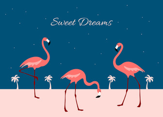 Sweet Dreams Flamingo poster. Night landscape banner. Cute exotic birds. Cartoon flat design.
