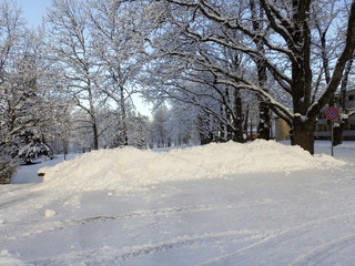 white winter road with trees in the background