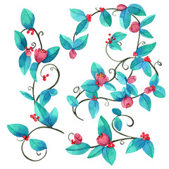 Watercolor cherry blossom illustration. Hand drawn abstract cherry blossom illustration isolated on white background. Floral background. Spring flowers. 