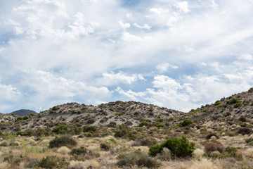 Fototapeta na wymiar Sagebrush and desert capped by cloudy blue skies