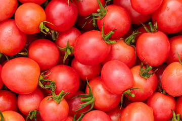 Red and ripe cherry tomatoes. View from above. Close-up. Autumn harvest.
