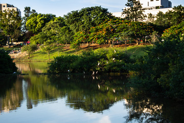 Fototapeta na wymiar Sao Jose do Rio Preto, Sao Paulo - Cityscape of the municipal dam park on a sunny day, tourist destination, landmark, landscape, cityscape, sunset, in high resolution