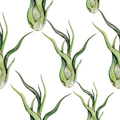 Print summer exotic jungle plant tropical palm leaves. Pattern, seamless floral on the black white geometric background. Nature wallpaper.