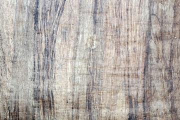 Papyrus simulated paper texture closeup. The structure of the old porous paper. Paper texture...