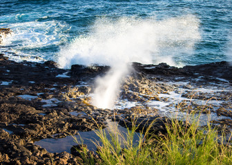 Geyser, ocean, spout 