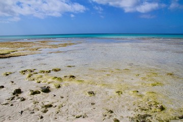 plage de minorque un jour ensoleillé