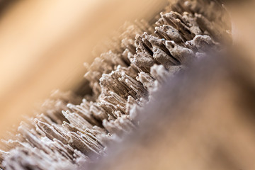 Narrow strip of aged wood texture on an old cabin