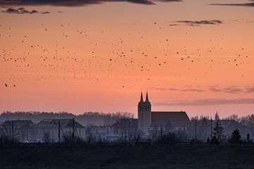kościół św. Józefa w Opolu i stada ptaków na niebie