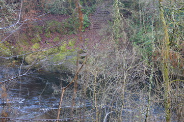 A walk along the banks of the River Ericht at Blairgowrie on a cold, misty, December day