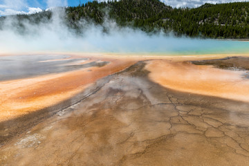 Geysir in the grand prismatic spring area in the Yellowstone National Park.