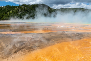 Geysir in the grand prismatic spring area in the Yellowstone National Park.