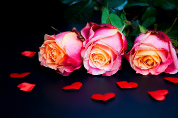 Three beautiful roses and hearts on a dark background. Valentine's Day