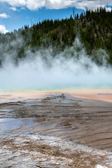 Geysir in the grand prismatic spring area in the Yellowstone National Park.