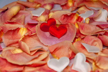 Naklejka na ściany i meble Gift hearts on a background of rose petals. Valentine's Day