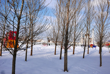 Beautiful winter landscape, snow in a city park