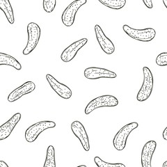 Hand drawn cucumbers gherkins. Vector  seamless pattern