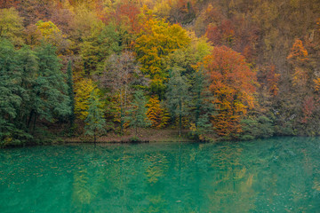 Lago in autunno