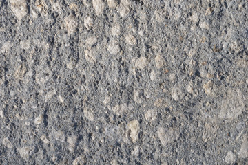 bark of tree texture 
