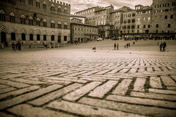 The pavement of Piazza del Campo. Close up. Selective focus. Siena, Tuscany, Italy - obrazy, fototapety, plakaty
