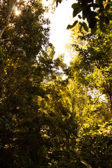 Praia Brava - Caragutatuba - São Paulo - Brasil