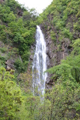 Fototapeta premium Waterfall among the greenery of the Italian Alps