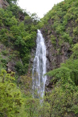 Fototapeta premium Waterfall among the greenery of the Italian Alps