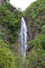 Waterfall among the greenery of the Italian Alps