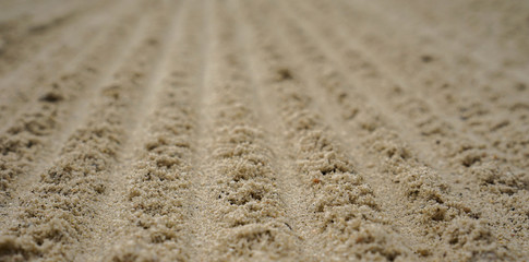 close up of grooves in the sand