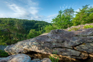 Fototapeta premium West Rim Loop Trail, Cloudland Canyon State Park, Georgia, USA