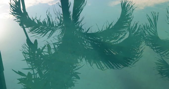 Reflection of tropical palm tree in blue clear water surface of swimming pool. Summer holidays and travel vacation concept. Modern hipster lifestyle. Paradise Palms. Beautiful poolside reflection.