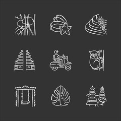 Fototapeta premium Indonesia chalk icons set. Tropical country animals. Trip to Indonesian islands. Explore exotic wildlife. Unique flora, fauna. Bali sightseeing, architecture. Isolated vector chalkboard illustrations