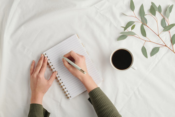 Overview of hands of young businesswoman with pen making notes in notebook