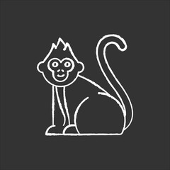 Baby monkey chalk icon. Tropical country animal, mammal. Exploring Indonesian islands wildlife. Cute primate sitting. Visiting exotic Balinese forest fauna. Isolated vector chalkboard illustration