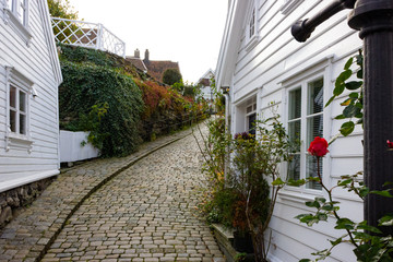 Having a walk between white wooden houses in the historic district Gamle Stavanger (Old Stavanger) in Stavanger, Norway