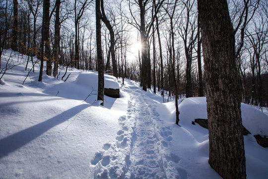 Thomas Cole Mountain Hike