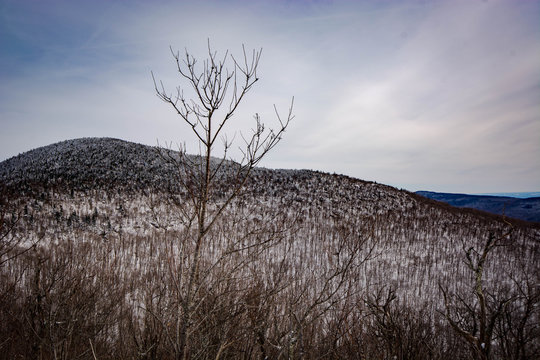 Thomas Cole Mountain Hike