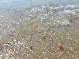 Sea, a photograph of nature. Wave, background. Outdoor, photo modern