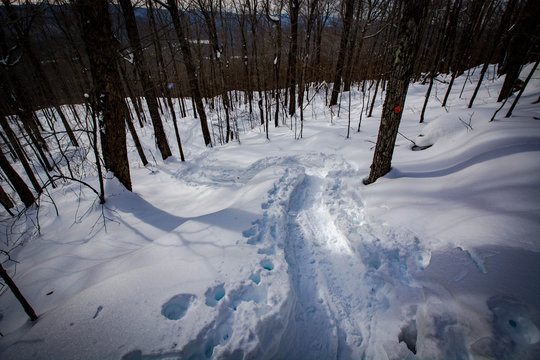 Thomas Cole Mountain Hike