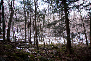 Obraz premium Black Dome Mountain