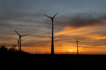 Windmills in beautiful december twilight