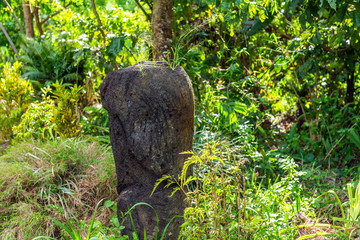 Stone statue in the village of Yakel, Tanna Island, Vanuatu. With selective focus.