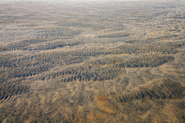 Fototapeta premium Raudasandur or red sandy beach in the westfjords of Iceland. Closeup shot of the volcanic and red sandy pattern on the beach. Traveling, nature and design concept.