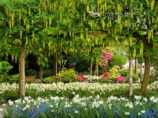 Panele Szklane  Spring garden