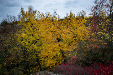 Fototapeta premium Shawangunk RIdge