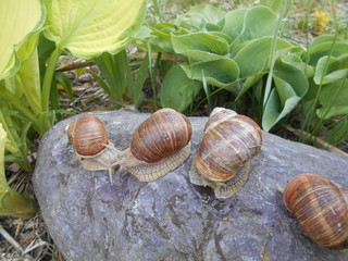 Beautiful nature of Belarus